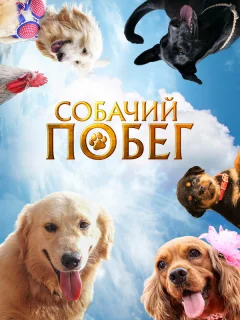 Собачий побег