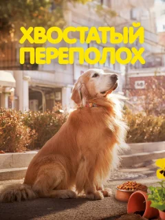 Хвостатый переполох