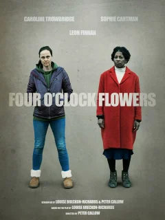 Цветы на четыре часа