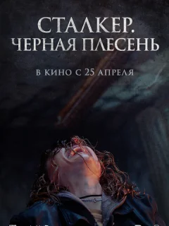 Сталкер. Черная плесень
