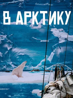 В Арктику