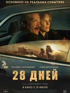28 дней