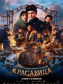 Красавица
